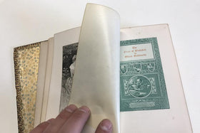 The Vicar of Wakefield - Altered Book