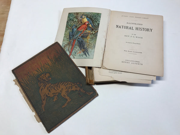 Natural History Book