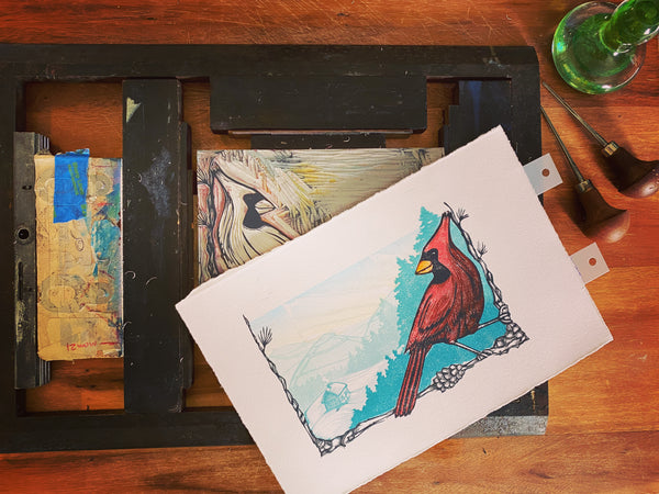 Creature Comforts | by Paprika Press